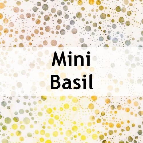 Tonga Mini Basil